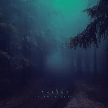 In Your Arms (remixes)