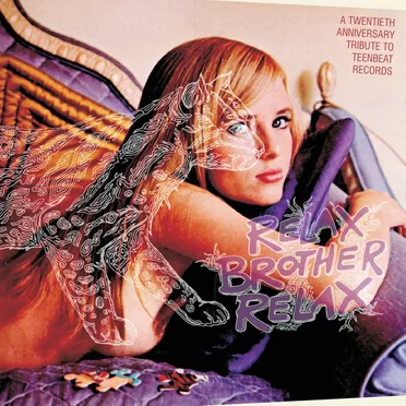 Relax Brother, Relax: A Twentieth Anniversary Tribute to Teenbeat Records by Various Artists - album cover