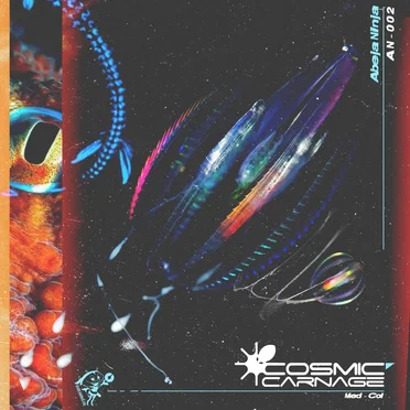 Hidden Ocean by Cosmic Carnage - album cover