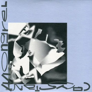 Experts In Skin by Constant Mongrel - album cover