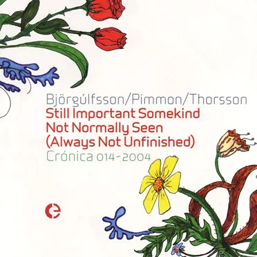 Still Important Somekind Not Normally Seen (Always Not Unfinished)