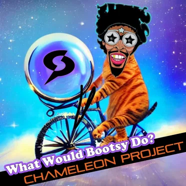 What Would Bootsy Do? by Chameleon Project - album cover