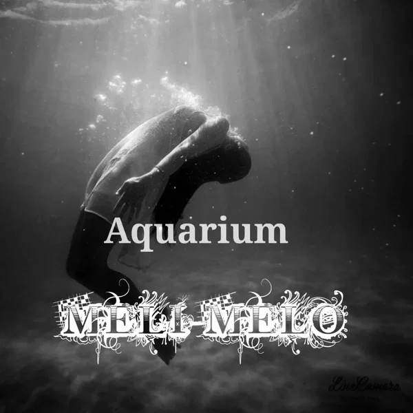 Aquarium