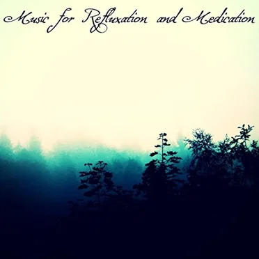 Music for Refluxation and Medication by Various Artists - album cover