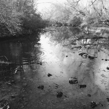 sweetwater
