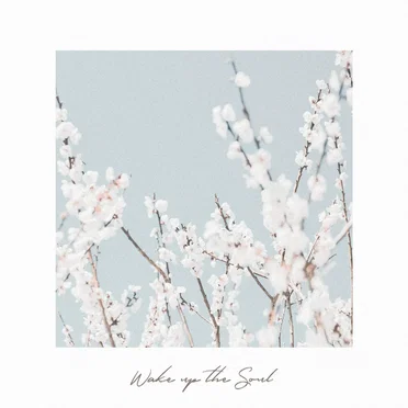 Wake up the Soul