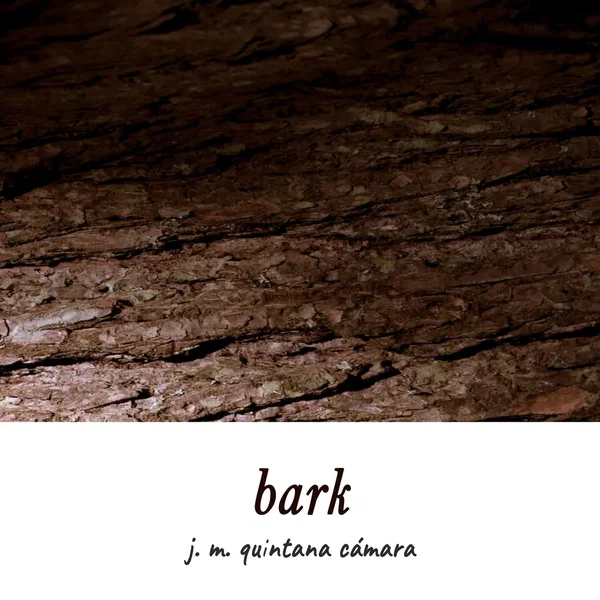Bark
