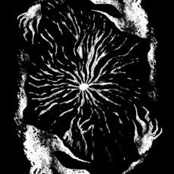Stillbirth From The Psychotic Void