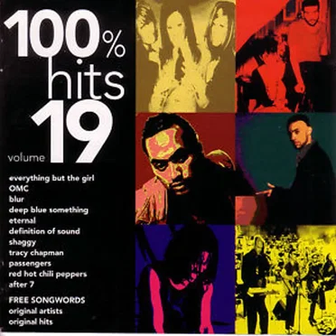 100% Hits, Volume 19 by Various Artists - album cover