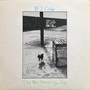 The New Hovering Dog