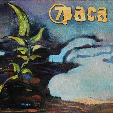 7раса