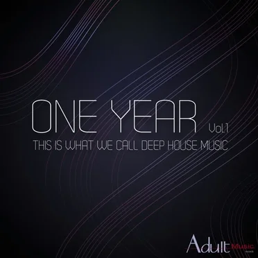 One Year, Vol.1 (This Is What We Call Deep House Music) by Various Artists - album cover