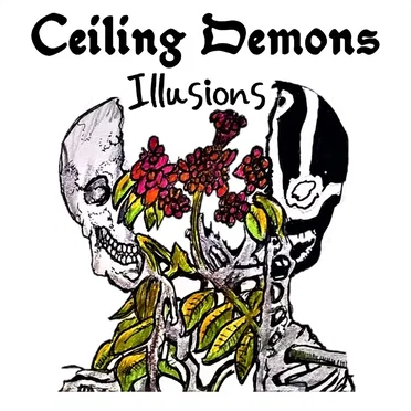 Illusions