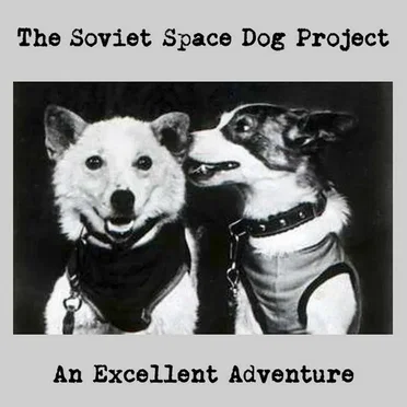 An Excellent Adventure