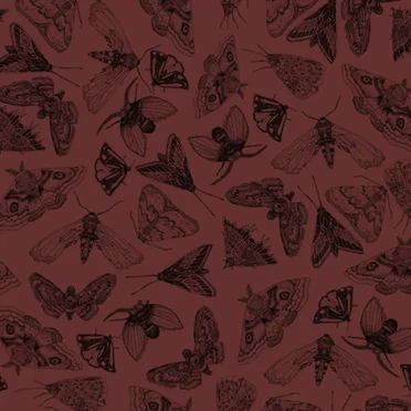 Bug Catcher / Half Round Bastard