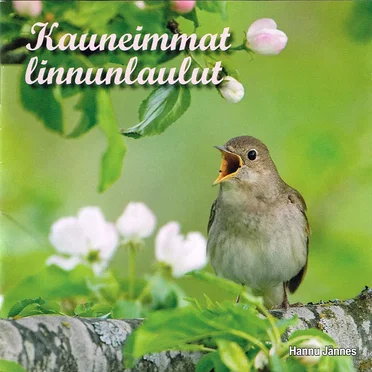 Kauneimmat linnunlaulut