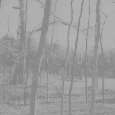 Fall