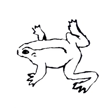Frogs