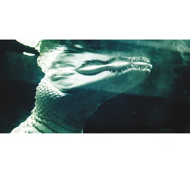 The Asking Breath Comes to Each