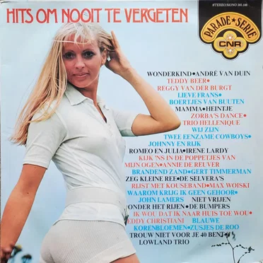 Hits om nooit te vergeten by Various Artists - album cover