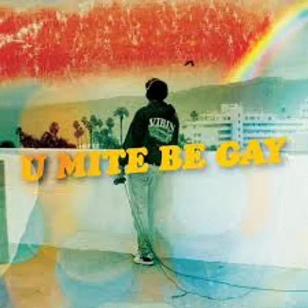 u mite be gay