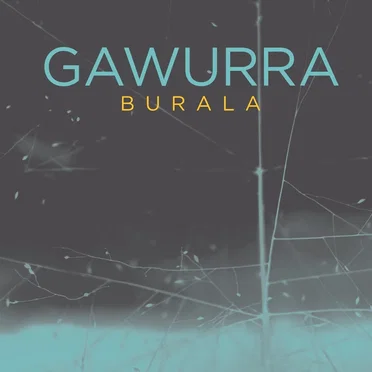 Burala (Diving Duck)