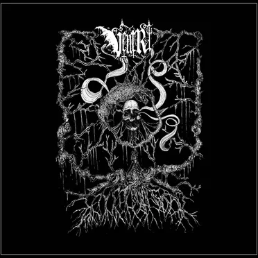 Numinous Negativity by Ventr - album cover