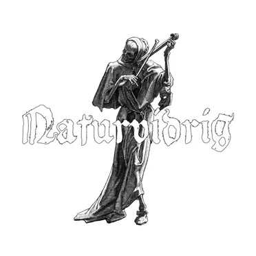Sönderfall by Naturvidrig - album cover