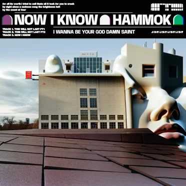 Now I Know by Hammok - album cover