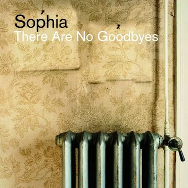 There Are No Goodbyes