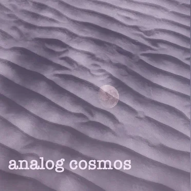 Analog Cosmos I