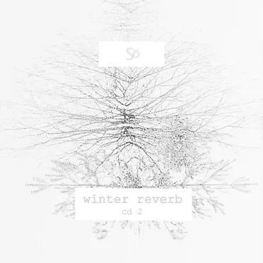 winter reverb II