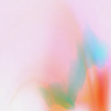 Lungs