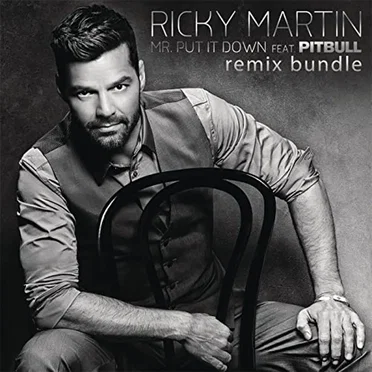 Mr. Put It Down (Remixes)