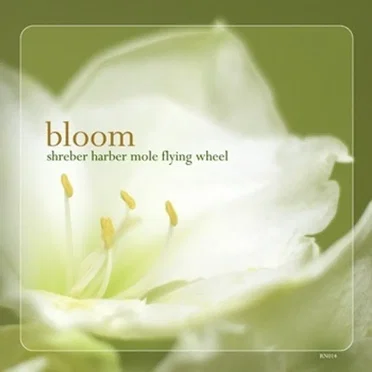 Bloom