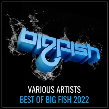 Best of Big Fish 2022 by Various Artists - album cover