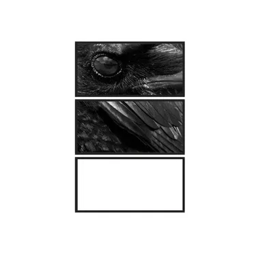 Ballade for a Crow Moon by Motion Sickness of Time Travel - album cover