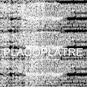 Placoplâtre