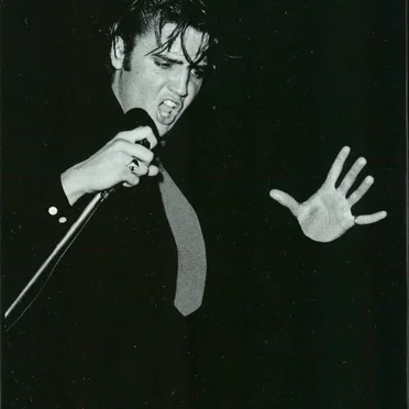 The King of Rock ’n’ Roll: The Complete 50’s Masters