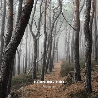 Strukturen by Hornung Trio - album cover