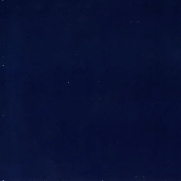 Сергей Курёхин в «Аквариуме»