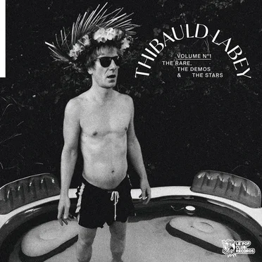 The Rare, the Demos & The Stars! - Vol.1 by Thibauld Labey - album cover