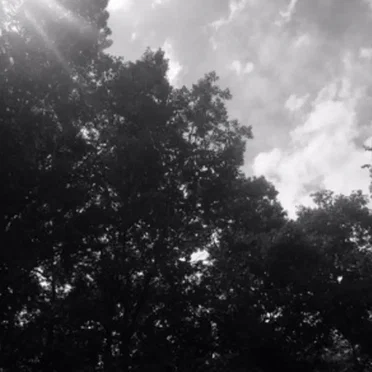 Chills and Whispers