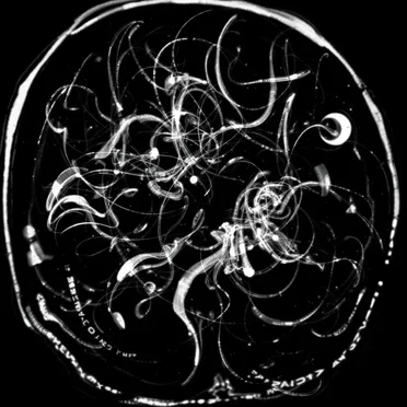 O gênio e o louco “Entre o céu e a terra“