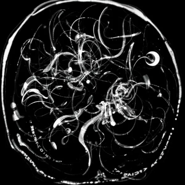 O gênio e o louco “Entre o céu e a terra“