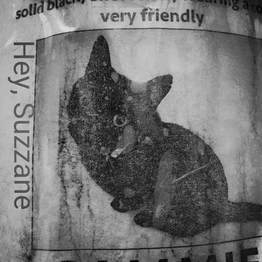 Very Friendly by Hey Suzanne - album cover