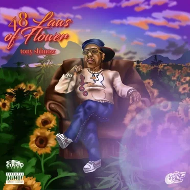 48 Laws of Power by Tony Shhnow - album cover