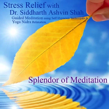 Splendor of Meditation