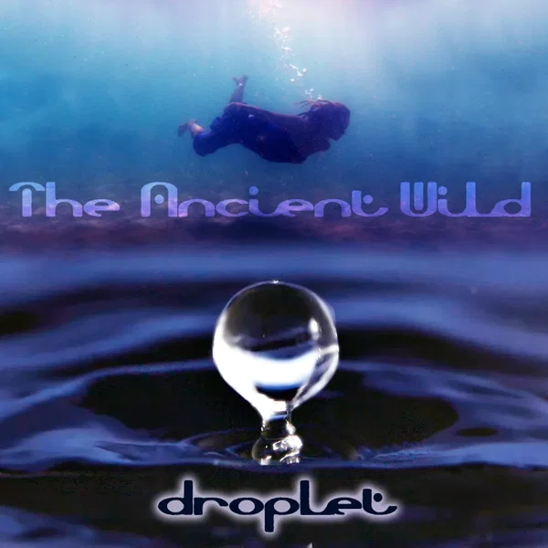 Droplet
