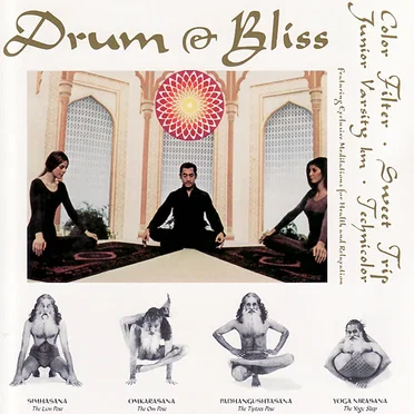 Drum & Bliss by Various Artists - album cover